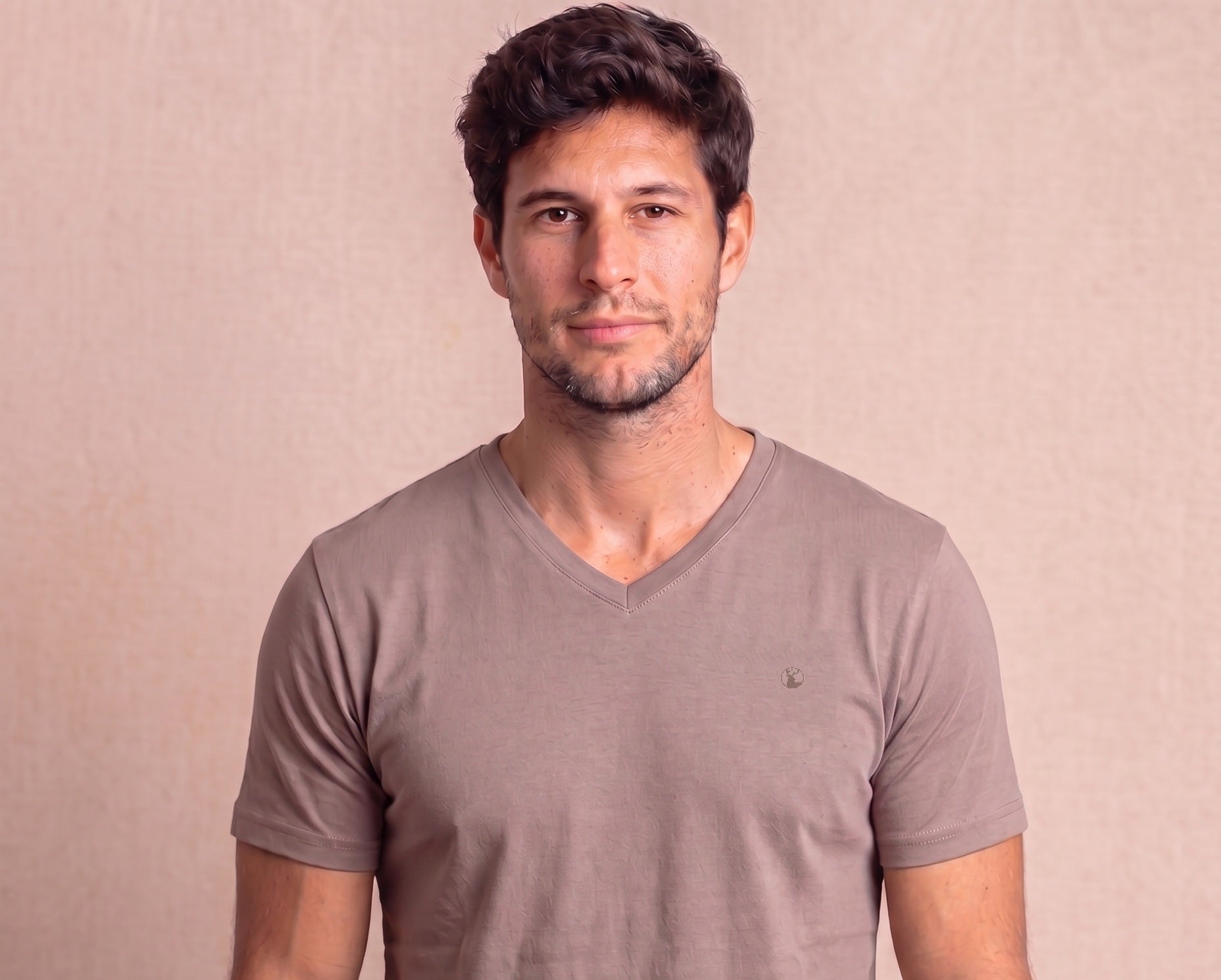 Polera Taupe Cuello V Modelo Barbé - Fogliatti